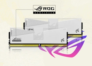 EG异极北极星金印V5 ROG联名 DDR5新款6000MHz内存：CL28低时序，性能新标杆 